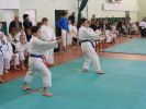 karate2014.jpg