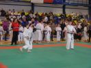 karate2014.jpg