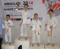 karate2014.jpg