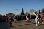 koza2015.jpg