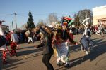 koza2015.jpg