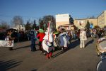 koza2015.jpg