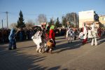 koza2015.jpg