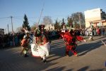 koza2015.jpg