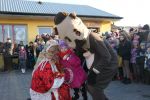 koza2015.jpg