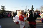 koza2015.jpg