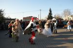koza2015.jpg