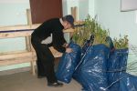 44.jpg