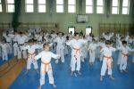turniej_karate_2016.jpg